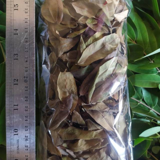 Daun Johar - Cassia siamea Lamk Leaf (Dried and Powder)