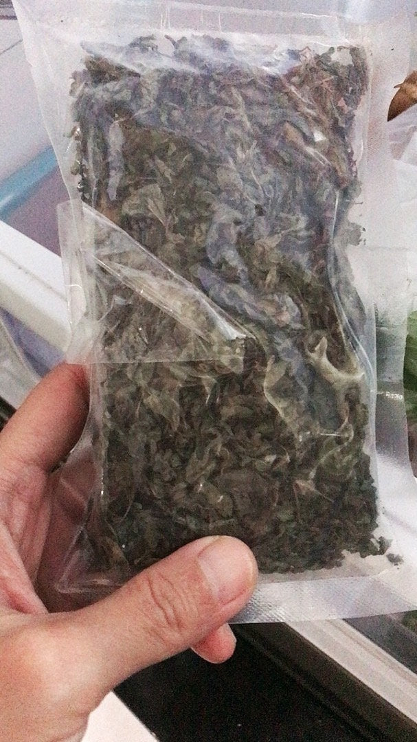 Peppermint Leaf Pepermin (Mentha x piperita)