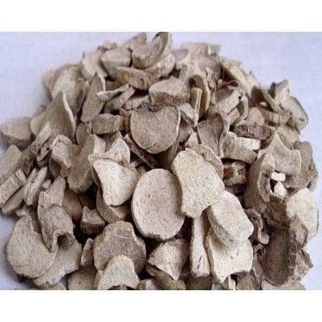 Rimpang Keladi Tikus / Rodent Tuber Typhonium flagelliforme Root (Dried and Powder)