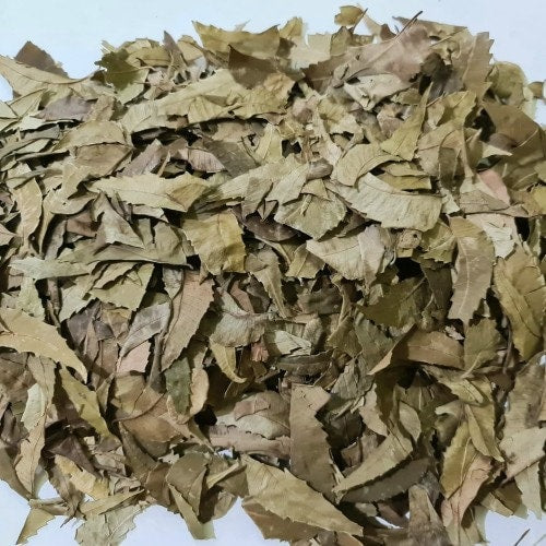 Daun Mimba - Azadirachta indica Leaf (Dried and Powder)