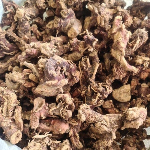 Lengkuas/Laos - Alpinia galanga (Dried and Powder)
