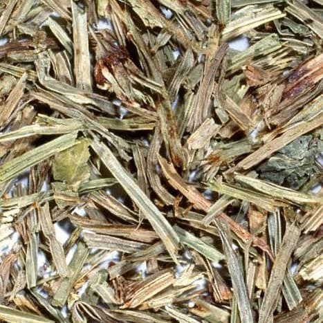 Daun Pecut Kuda - Stachytarpheta jamaicensis Leaf (Dried and Powder)