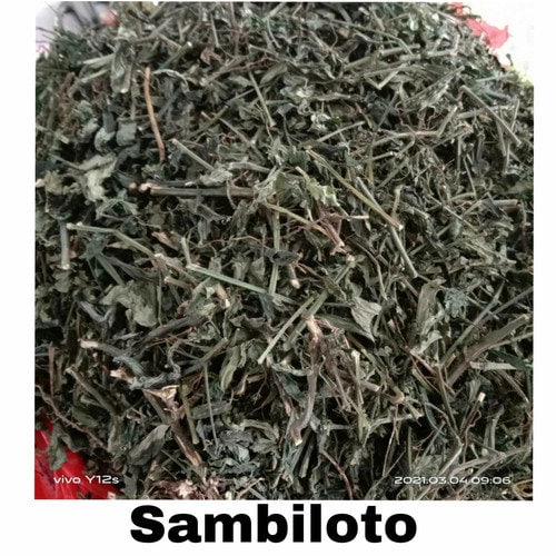 Daun Sambiloto Sambiroto - Green Chiretta/Andrographis paniculata Leaf (Dried and Powder)