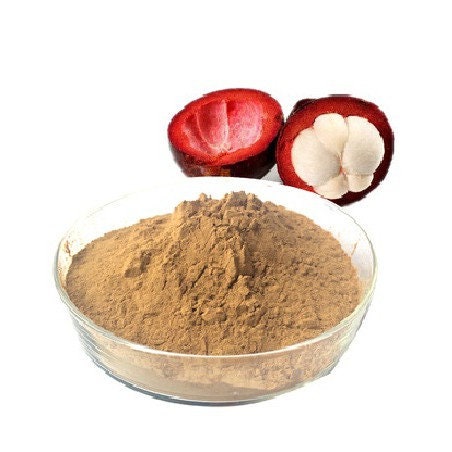 Mangosteen - Manggis (Garcinia Mangostana)