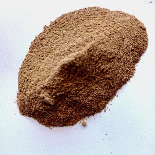 Cabai Jawa -Long Pepper - Piper retrofractum Vahl