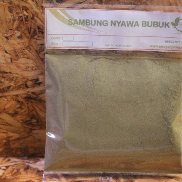 Daun Sambung Nyawa - Gynura procumbens Leaf ( Dried and Powder)