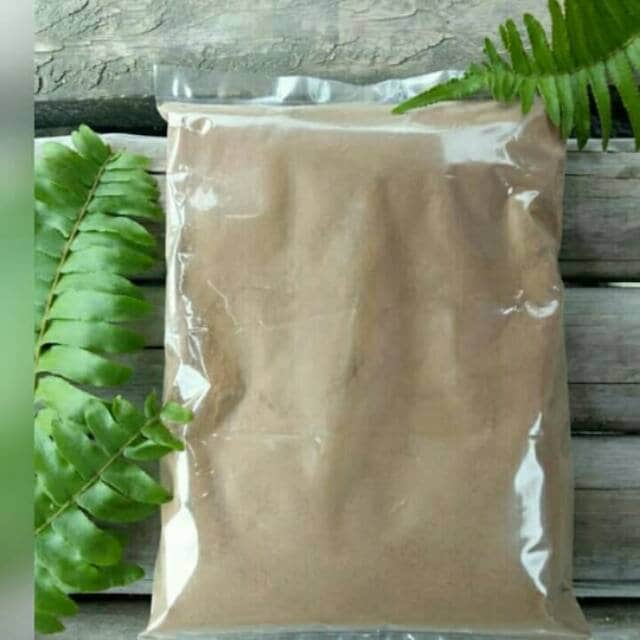 Kayu Rapet (Parameria laevigata) Dried and Powder
