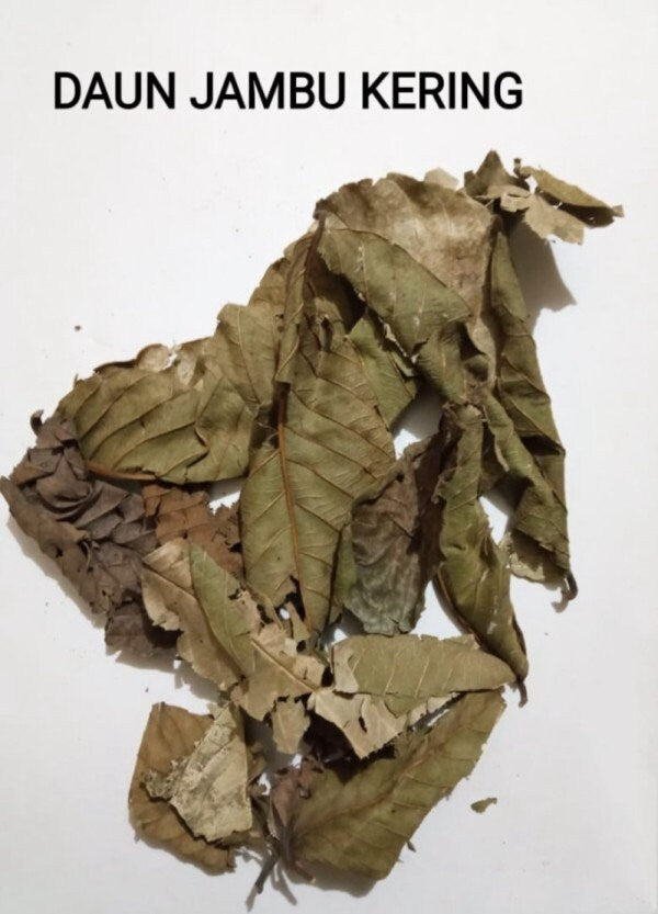 Daun Jambu Biji (Psidium guajava Leave) Dried and Powder