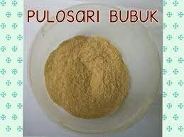 Batang Pulosari (Alyxia stellata) Branch Dried and Powder