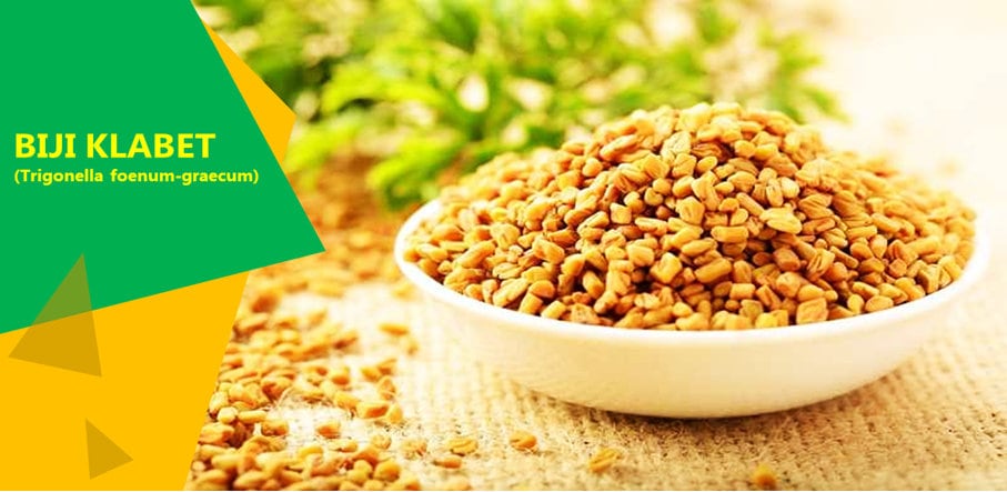 Biji Klabet (Hulbah fenugreek methi seeds) Trigonella foenum-graecum (Dried and Powder)