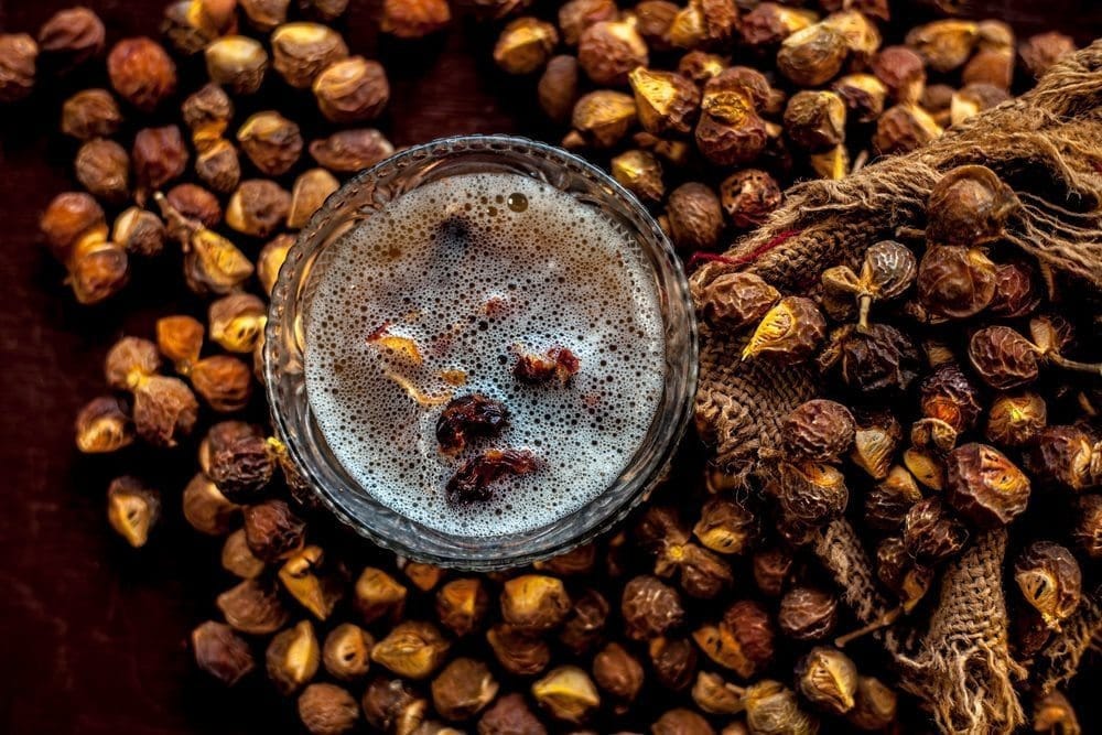Lerak soapnut/soapberry/klerek (Sapindus rarak)