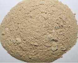 Buah Manjakani (Quercus infectoria Fruit) Dried and Powder
