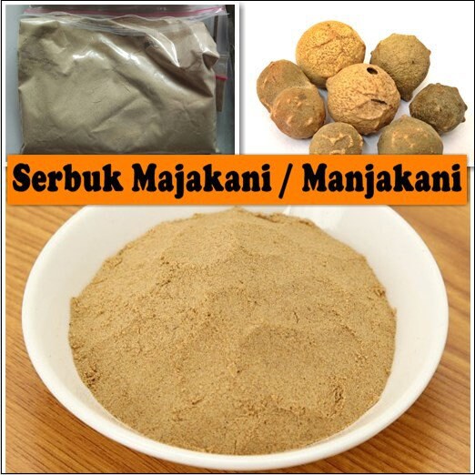 Buah Manjakani (Quercus infectoria Fruit) Dried and Powder