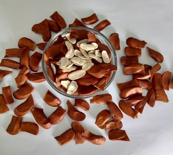 Biji Mahoni - Mahogany Seeds Swietenia mahagoni (Dried Seed, Peeled Seed and Powder)