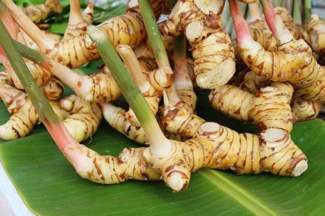 Lengkuas/Laos - Alpinia galanga (Dried and Powder)