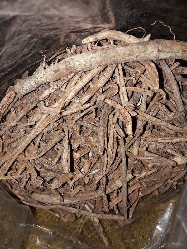 Kayu Rapet (Parameria laevigata) Dried and Powder