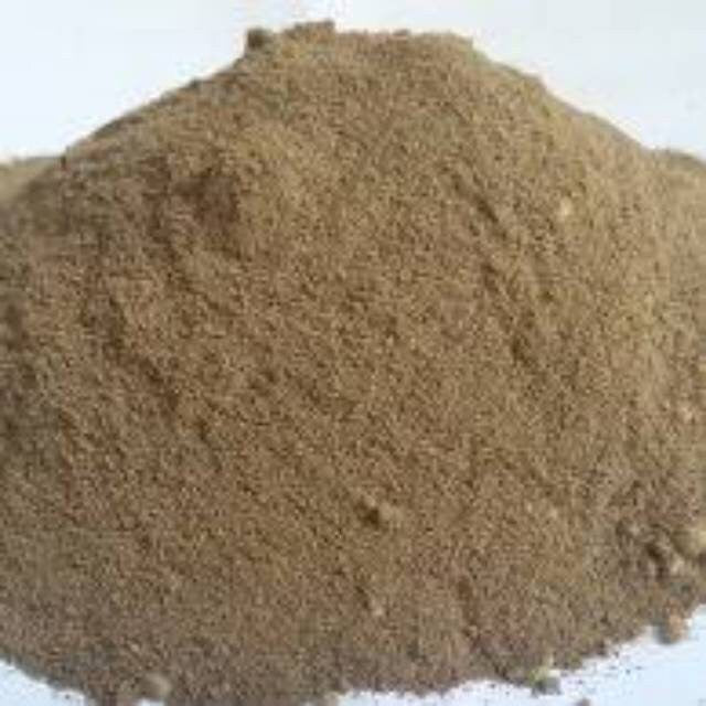 Akar Purwaceng purwoceng, Antanan Gunung Pimpinella Pruatjan Root (Dried and Powder)
