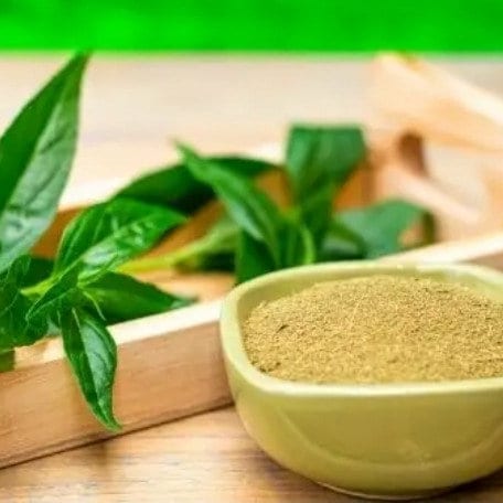 Daun Sambiloto Sambiroto - Green Chiretta/Andrographis paniculata Leaf (Dried and Powder)