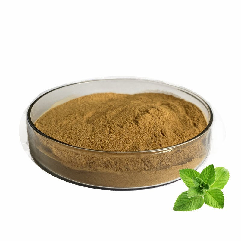 Peppermint Leaf Pepermin (Mentha x piperita)