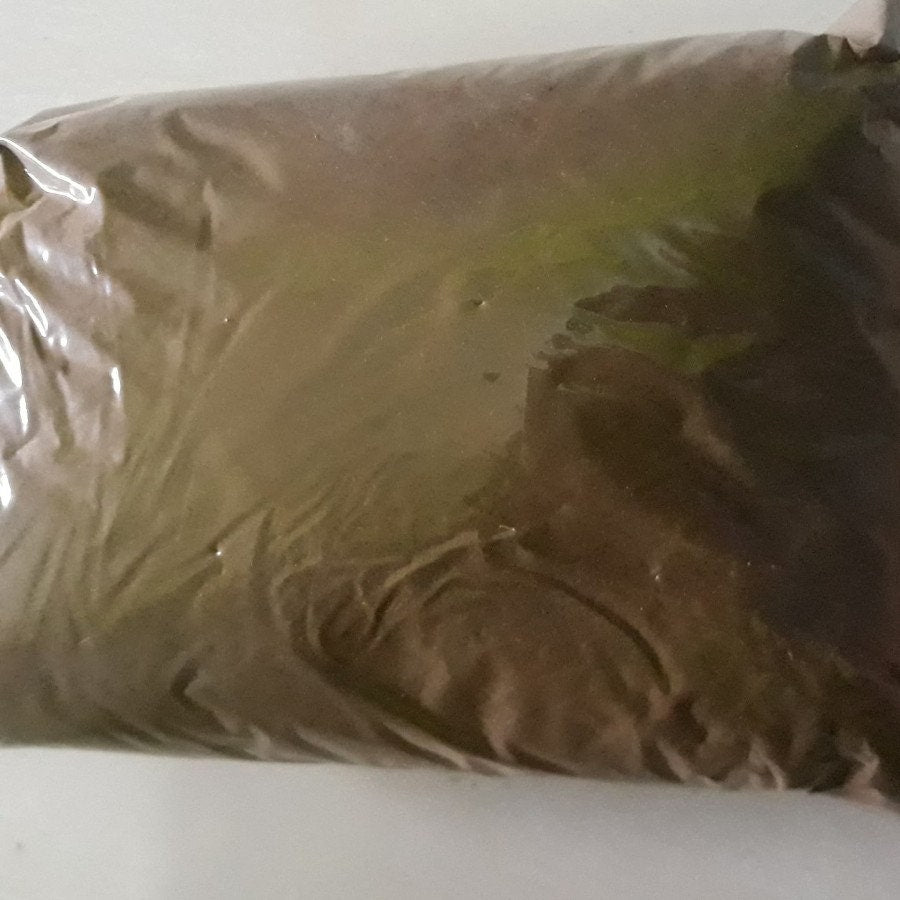 Daun Kayu Putih (Eucalyptus leaves) Cajuput leaf (Dried and Powder)