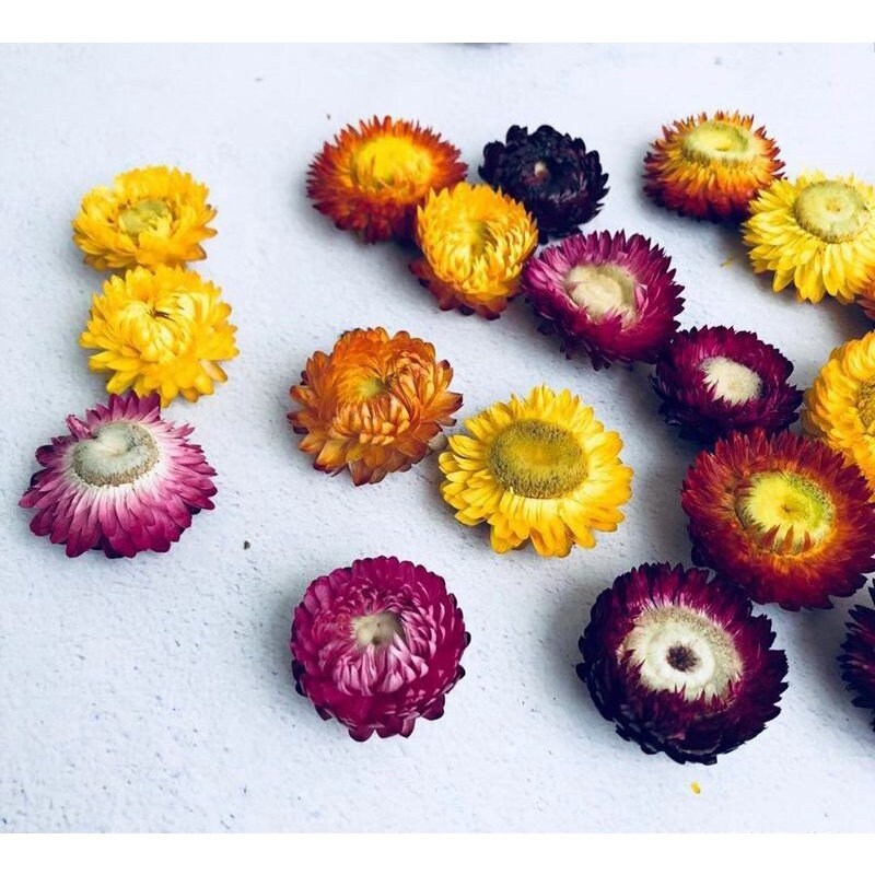 Teh Colourful Chrysanthemum (Colourful Chrysanthemum Dried)
