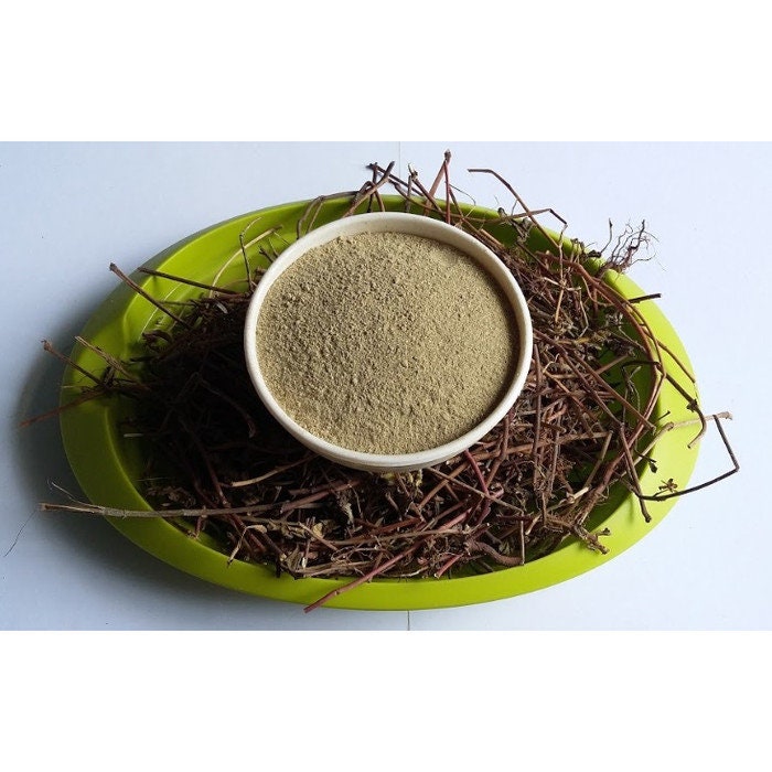 Patikan Kebo Patikan Kerbau - Euphorbia hirta (Dried and Powder)