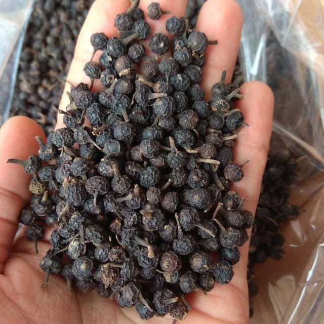 Biji Kemukus - Piper cubeba L.f.