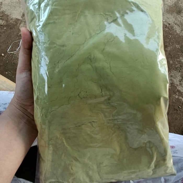 Daun Widuri Bubuk - Calotropis Gigantea Leaf Powder