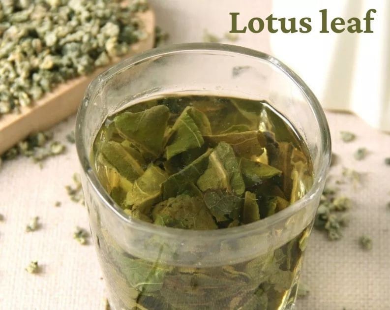 Teh Daun Teratai (Lotus leaf Dried)