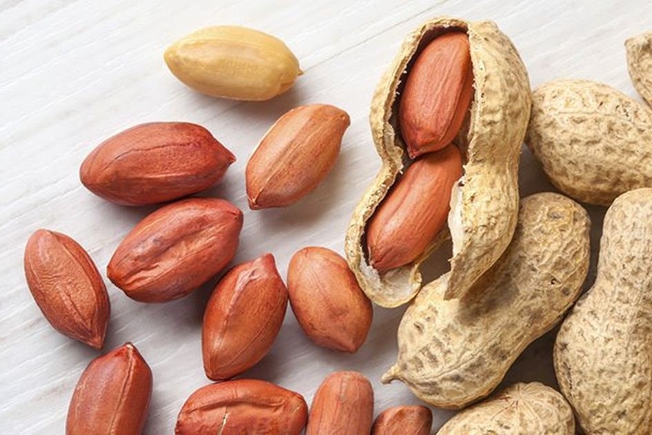 Biji Kacang Tanah Kering - Arachis hypogaea Seed Dried