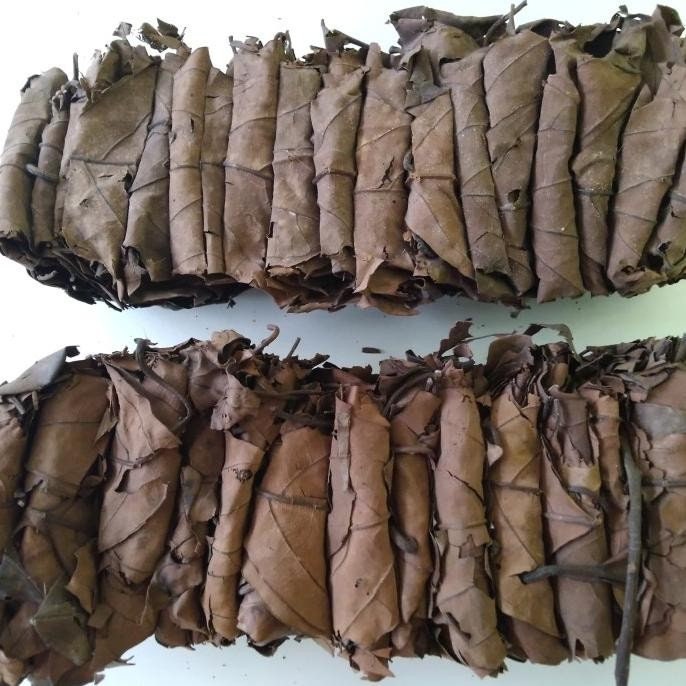 Daun Trawas Kering (Litsea odorifera Val Dried Leaf)