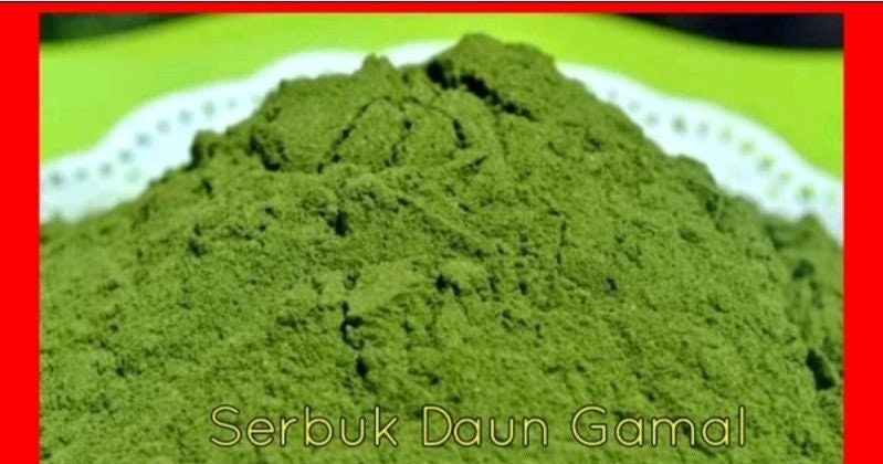 Daun Gamal - Gliricidia Sepium Leaf (Dried and Powder)