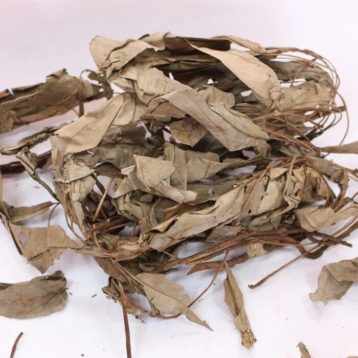Kacip Fatima Rumput Fatimah - Labisia pumila (Dried and Powder)