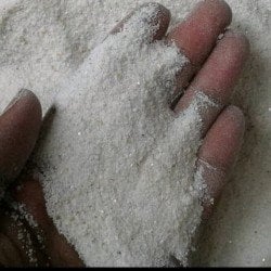 Buah Kersen Bubuk (Muntingia calabura Seed Powder)
