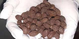 Buah Tempayang / Bentayang Kering - Fismiana Affinis Dried