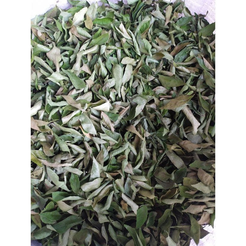 Daun Kari Kare Kering (Murraya koenigii Dried Leaf)