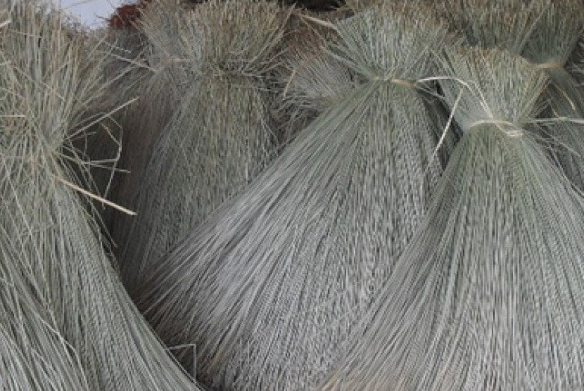 Craft - Mendhong (Fimbristylis umbellaris) Dry 200gr