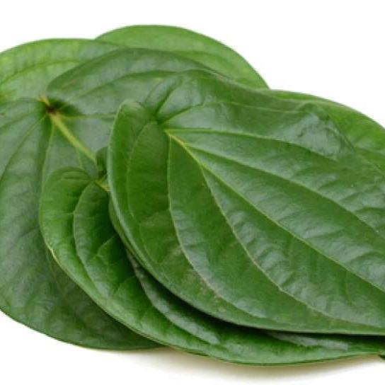 Daun Sirih Piper Betle Leaf (Dried and Powder)