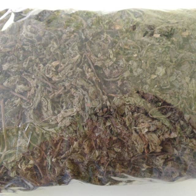 Daun Jombang - Taraxacum officinale Weber et Wiggers Leaf (Dried and Powder)