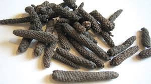 Cabai Jawa -Long Pepper - Piper retrofractum Vahl