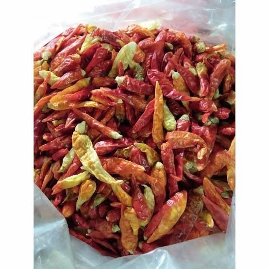 Cabai Rawit Merah - Capsicum frutescens L. (Dried and Powder)