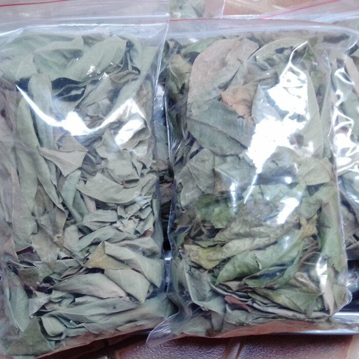 Daun Cermai - Phyllanthus acidus Leaf (Dried and Powder)