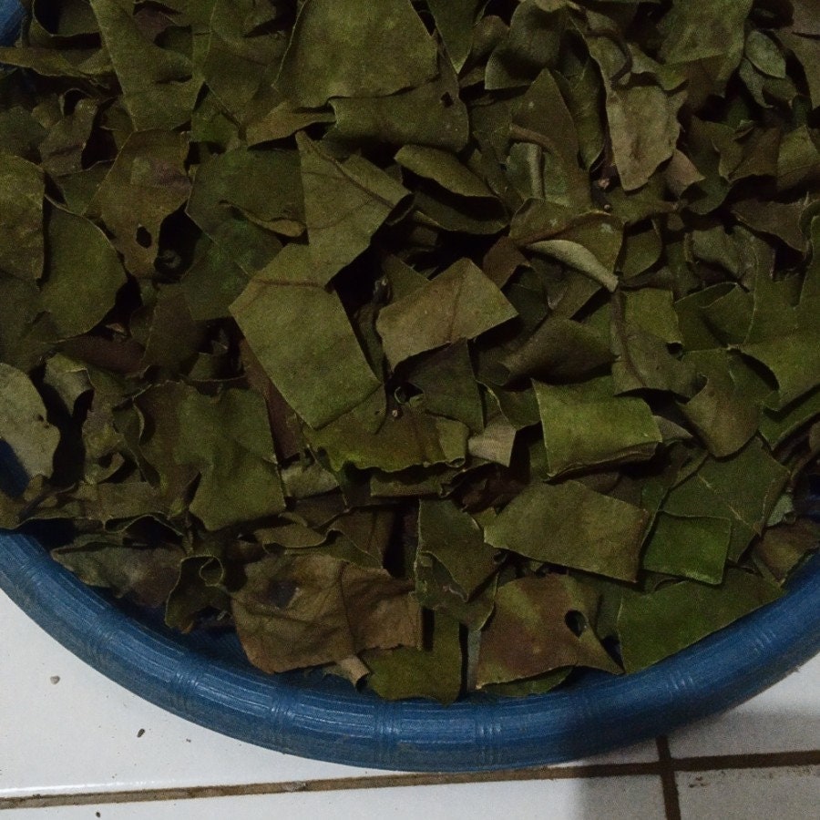 Daun Kamboja - Plumeria Leaf (Dried and powder)