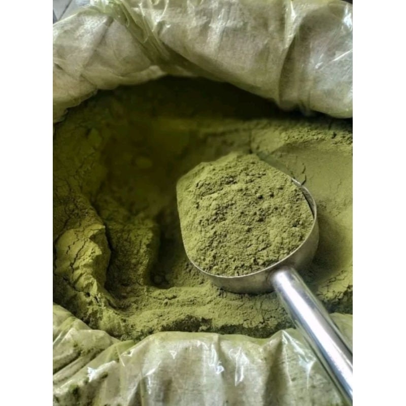 Daun Cincau - Cyclea barbata Miers (Dried and Powder)