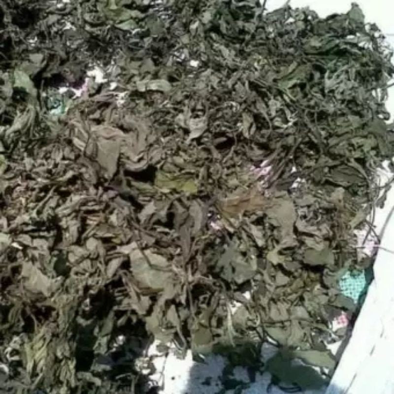 Daun Lempuyang - Zingiber Zerumbet Leaf (Dried and Powder)