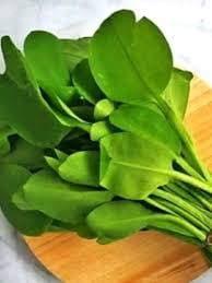 Daun Genjer - Limnocharis Flava Leaf (Dried/Powder)