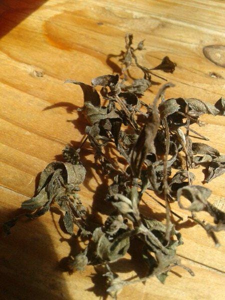 Daun Ajeran - Bidens Pilosa Leaf (Dried and Powder)