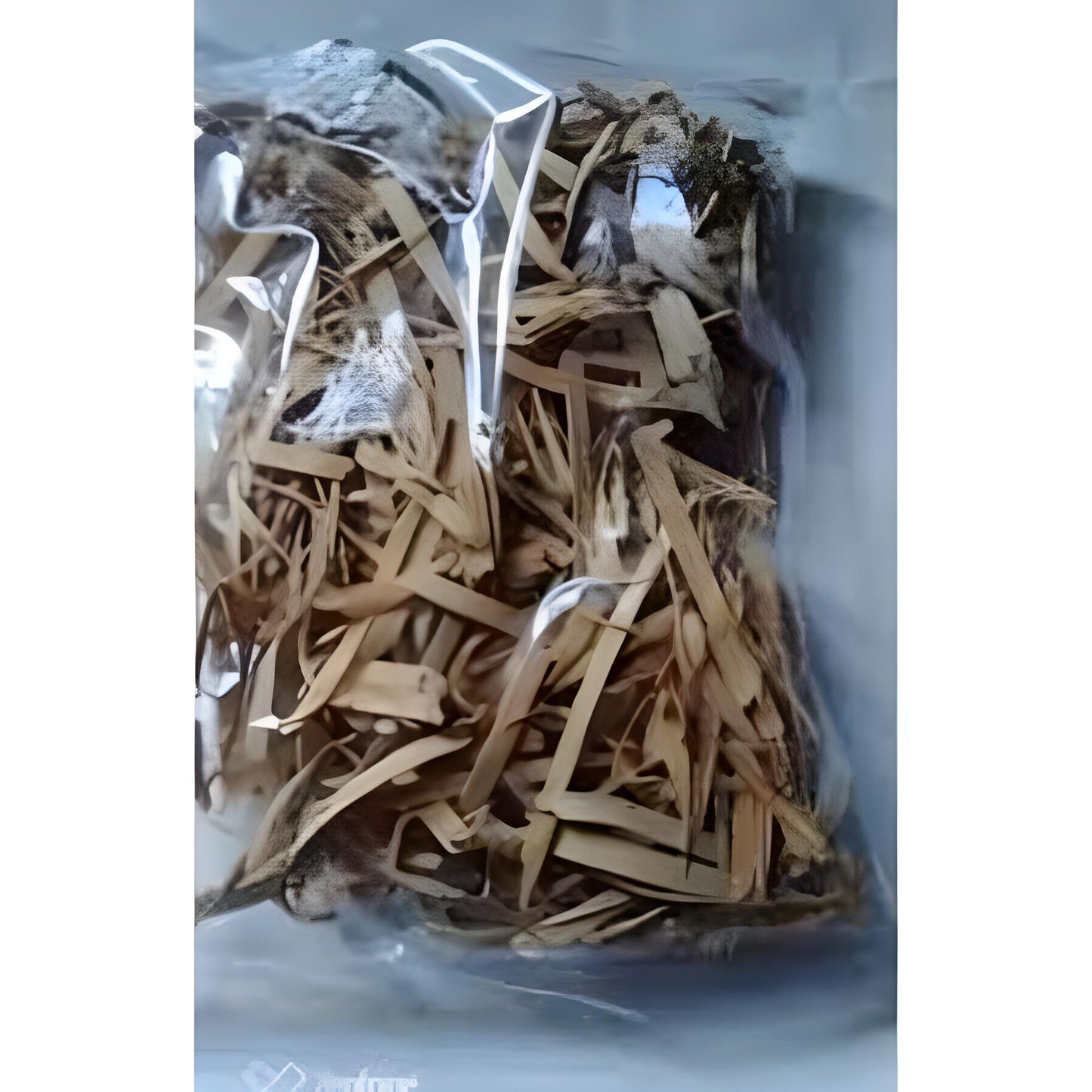 Pasak Bumi (Eurycoma longifolia) Dried and Powder