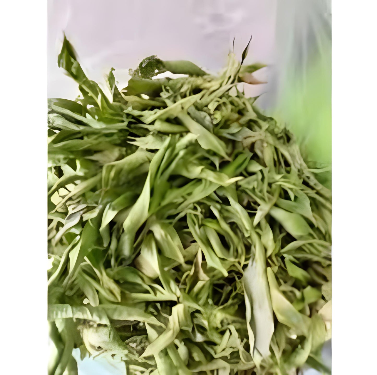 Mahkota Dewa God's Crown Simalakama Phaleria Macrocarpa (Dried and Powder)