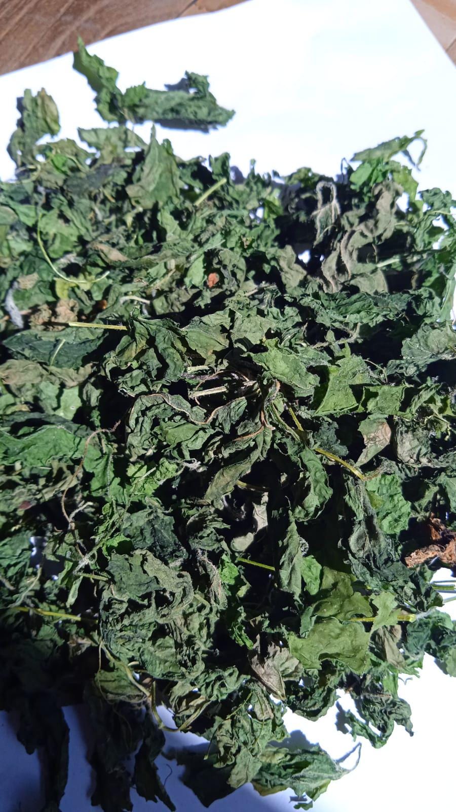 Daun Pare - Momordica charantia L Leaf (Dried and Powder)